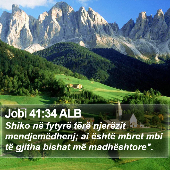 Jobi 41:34 ALB Bible Study