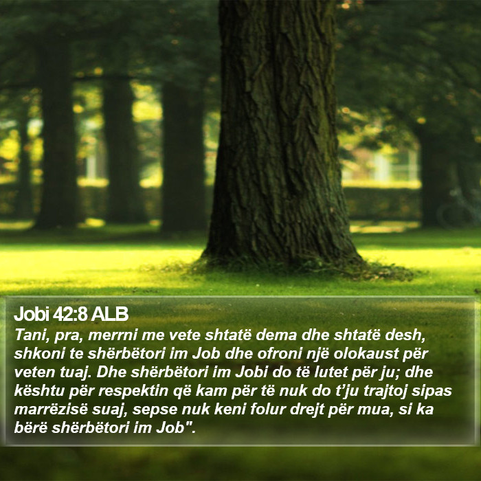Jobi 42:8 ALB Bible Study