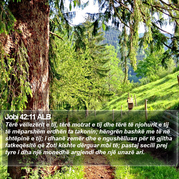 Jobi 42:11 ALB Bible Study