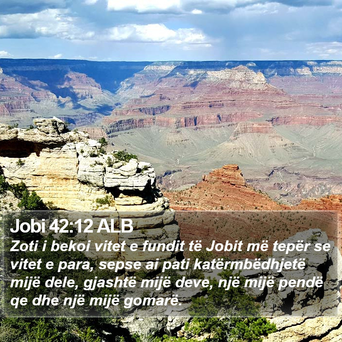 Jobi 42:12 ALB Bible Study