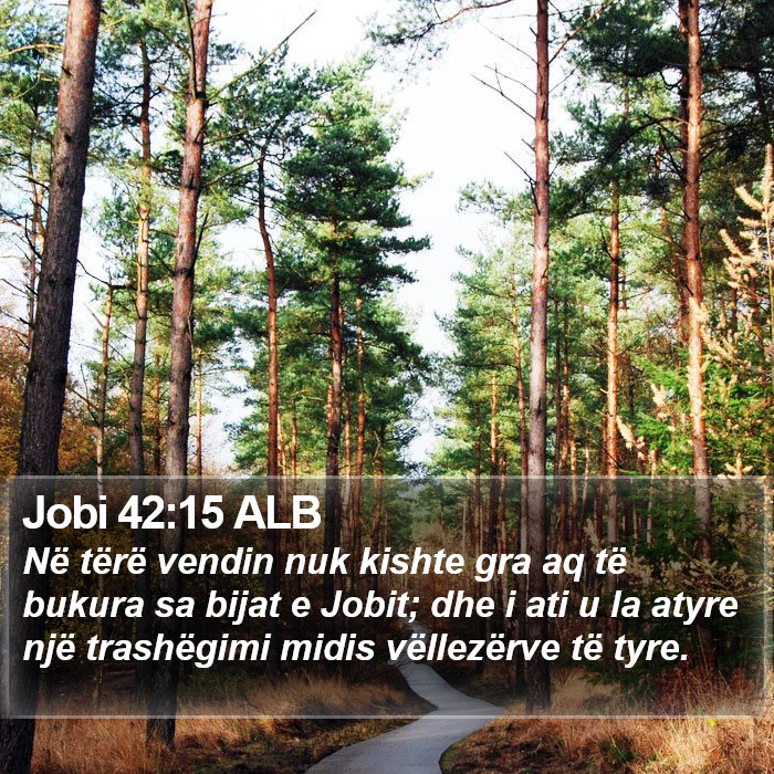 Jobi 42:15 ALB Bible Study