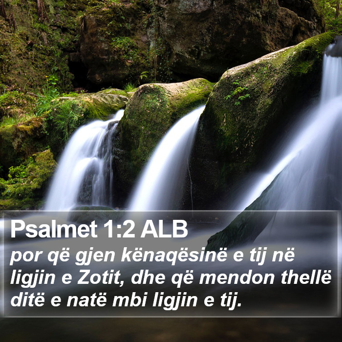 Psalmet 1:2 ALB Bible Study