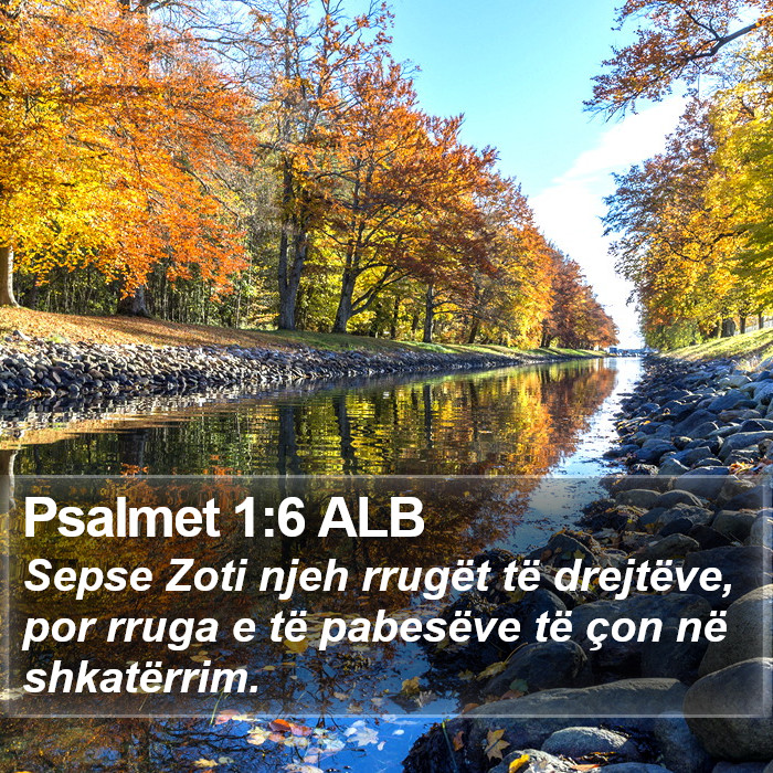 Psalmet 1:6 ALB Bible Study