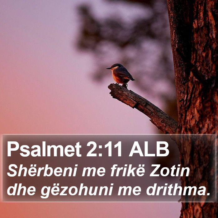 Psalmet 2:11 ALB Bible Study