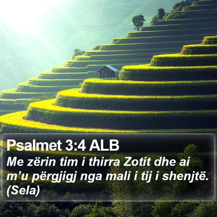 Psalmet 3:4 ALB Bible Study