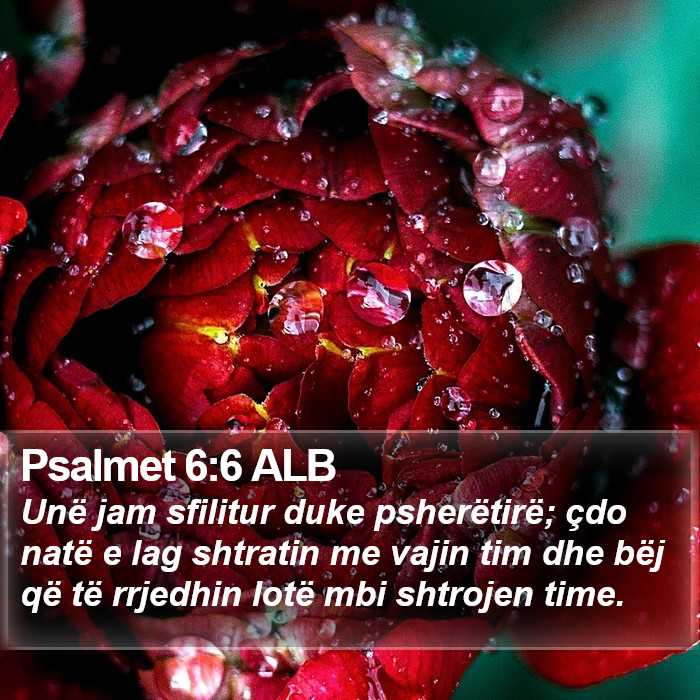 Psalmet 6:6 ALB Bible Study