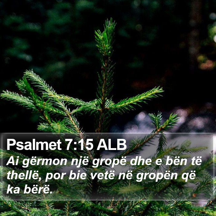 Psalmet 7:15 ALB Bible Study