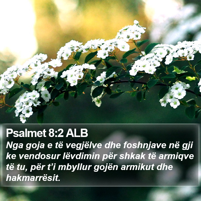 Psalmet 8:2 ALB Bible Study