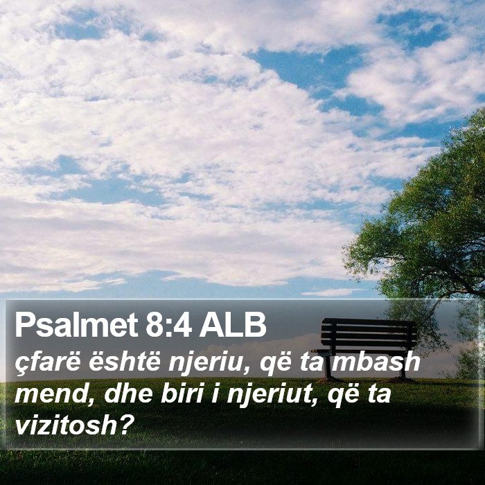 Psalmet 8:4 ALB Bible Study