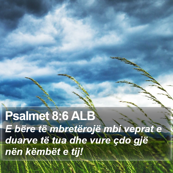 Psalmet 8:6 ALB Bible Study