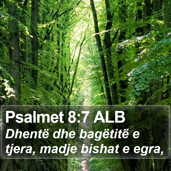 Psalmet 8:7 ALB Bible Study