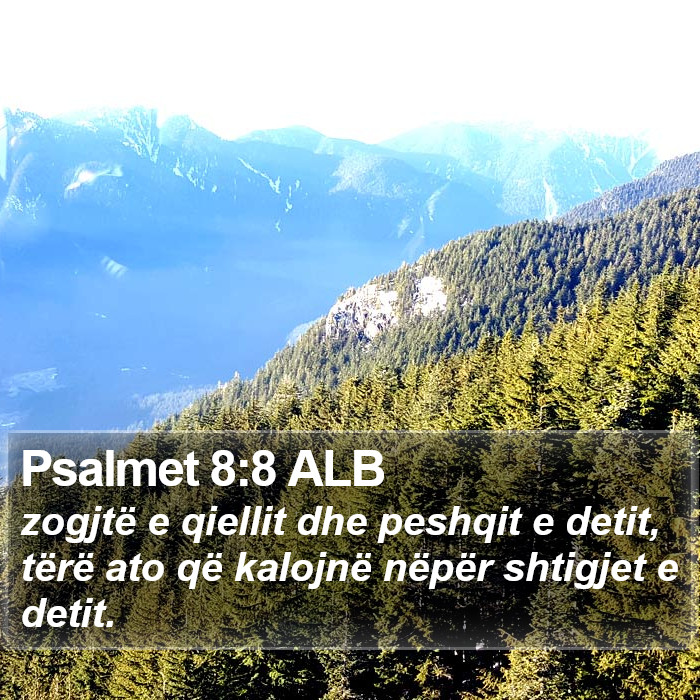 Psalmet 8:8 ALB Bible Study