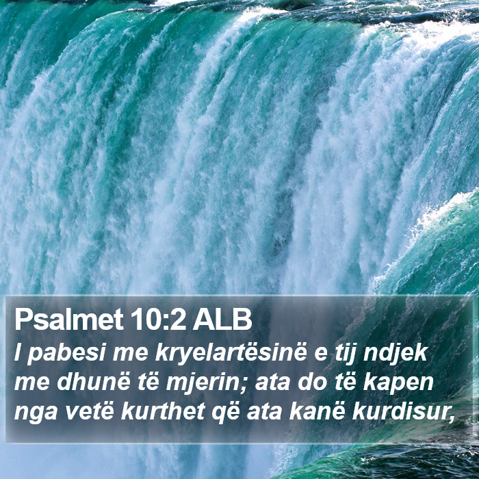 Psalmet 10:2 ALB Bible Study