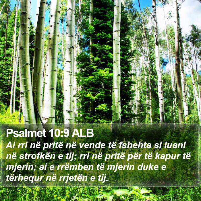 Psalmet 10:9 ALB Bible Study