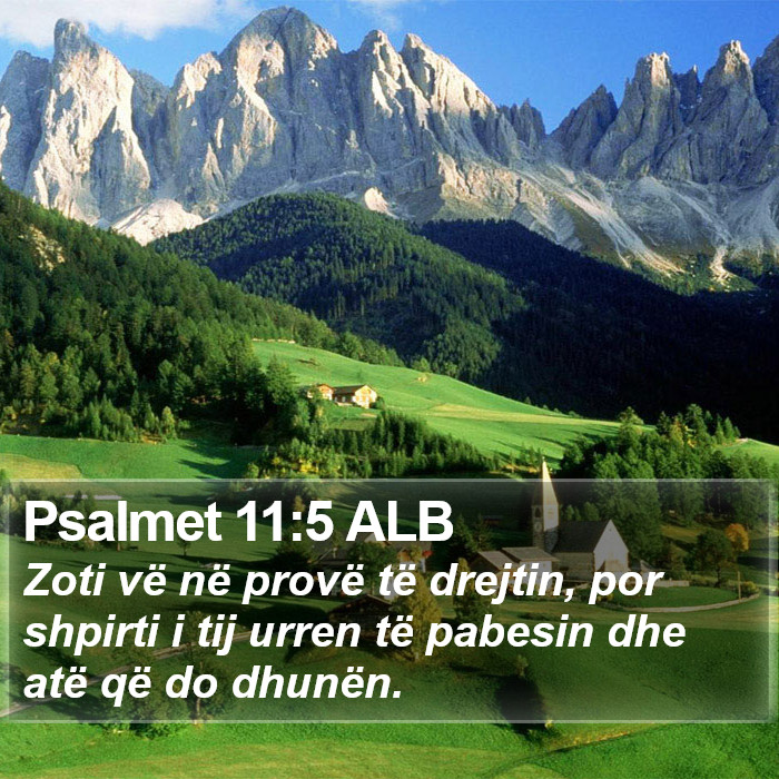 Psalmet 11:5 ALB Bible Study