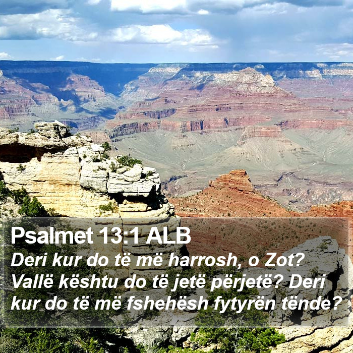 Psalmet 13:1 ALB Bible Study