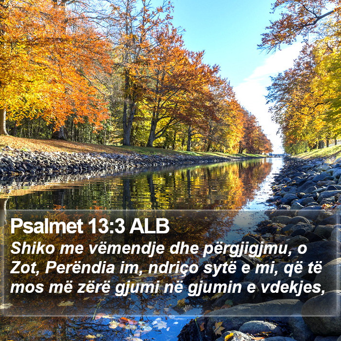 Psalmet 13:3 ALB Bible Study