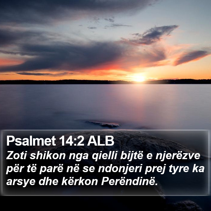 Psalmet 14:2 ALB Bible Study