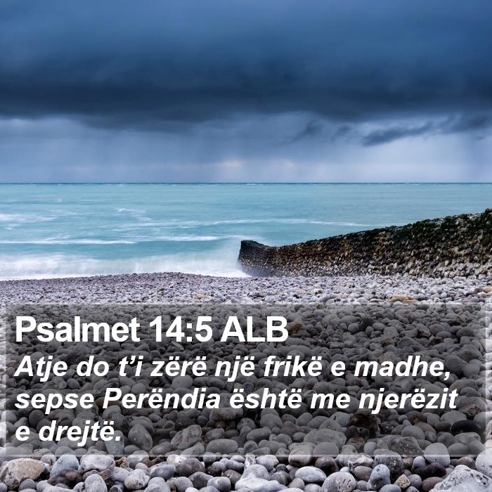 Psalmet 14:5 ALB Bible Study