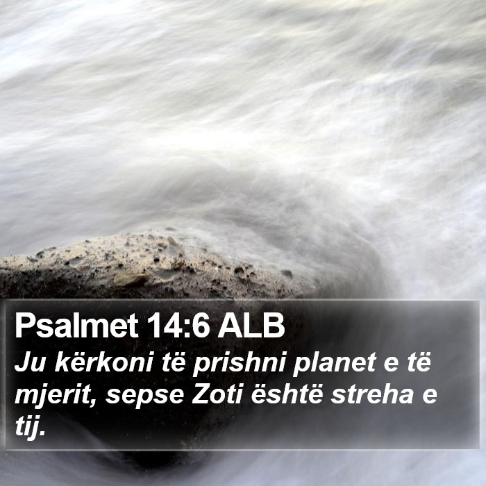 Psalmet 14:6 ALB Bible Study