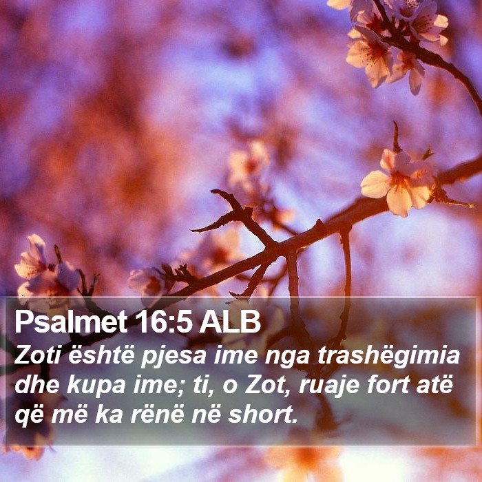 Psalmet 16:5 ALB Bible Study