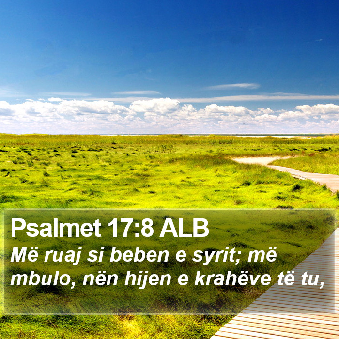 Psalmet 17:8 ALB Bible Study