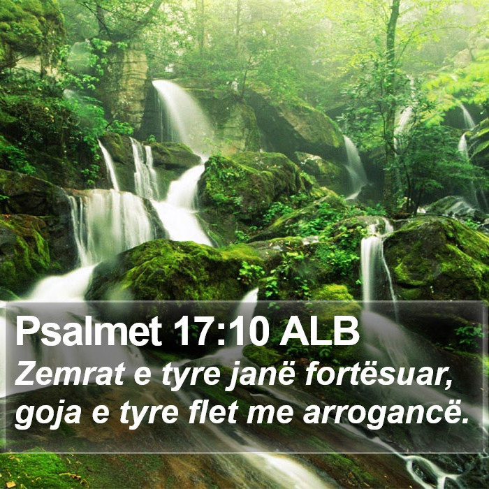 Psalmet 17:10 ALB Bible Study