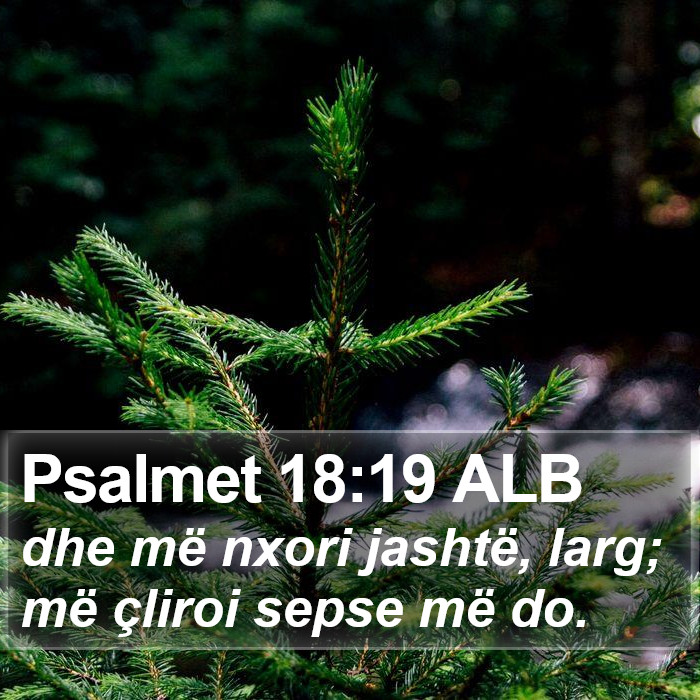 Psalmet 18:19 ALB Bible Study