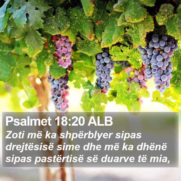 Psalmet 18:20 ALB Bible Study