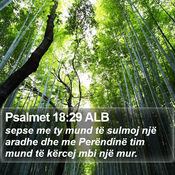 Psalmet 18:29 ALB Bible Study