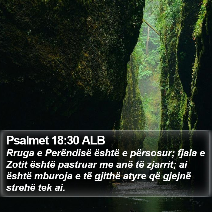 Psalmet 18:30 ALB Bible Study