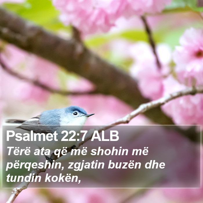 Psalmet 22:7 ALB Bible Study