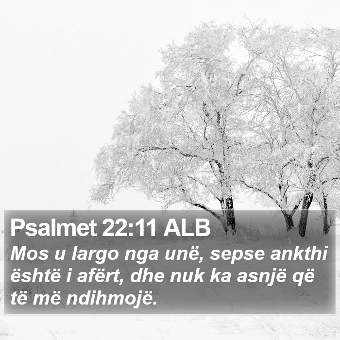 Psalmet 22:11 ALB Bible Study