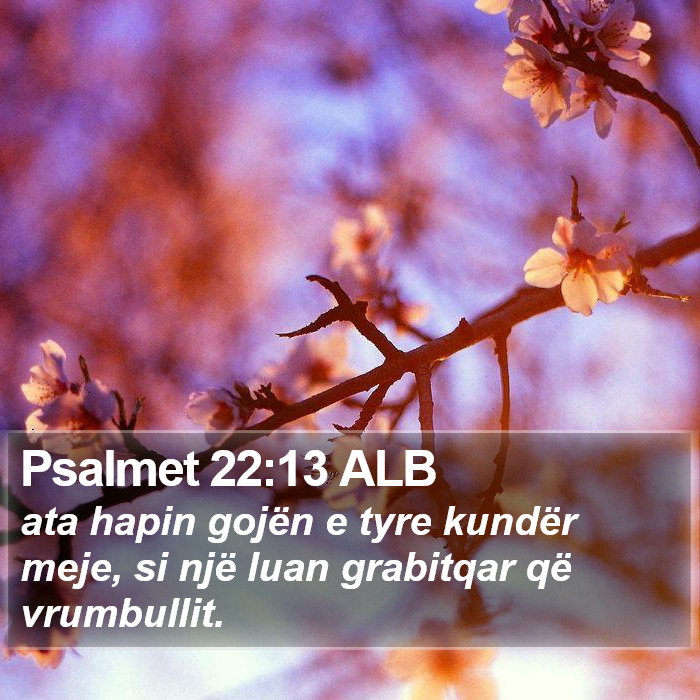 Psalmet 22:13 ALB Bible Study