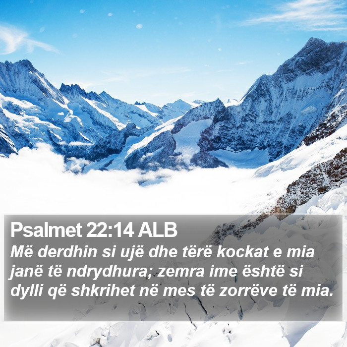Psalmet 22:14 ALB Bible Study