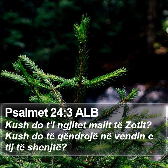 Psalmet 24:3 ALB Bible Study