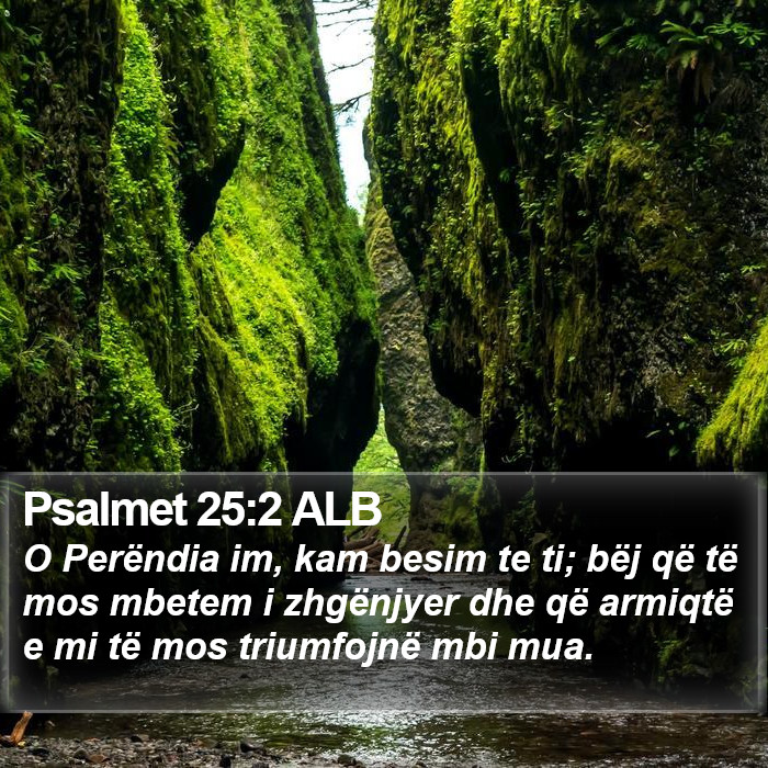 Psalmet 25:2 ALB Bible Study