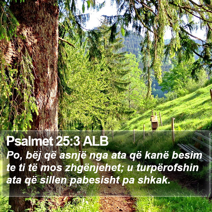 Psalmet 25:3 ALB Bible Study