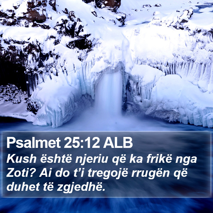 Psalmet 25:12 ALB Bible Study