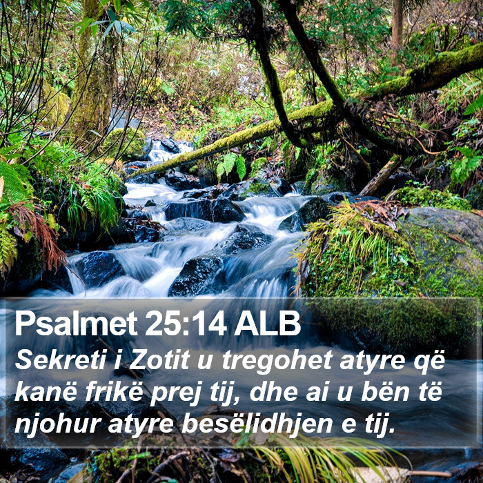 Psalmet 25:14 ALB Bible Study