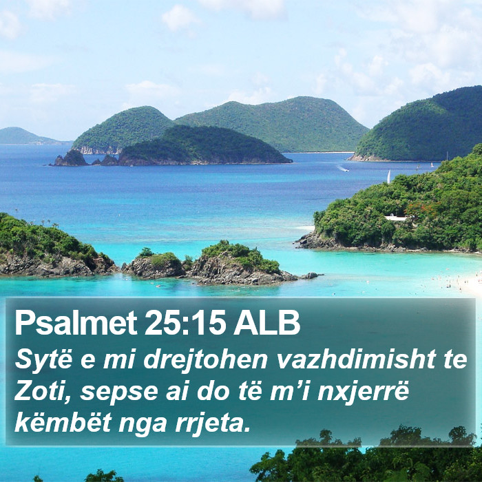 Psalmet 25:15 ALB Bible Study