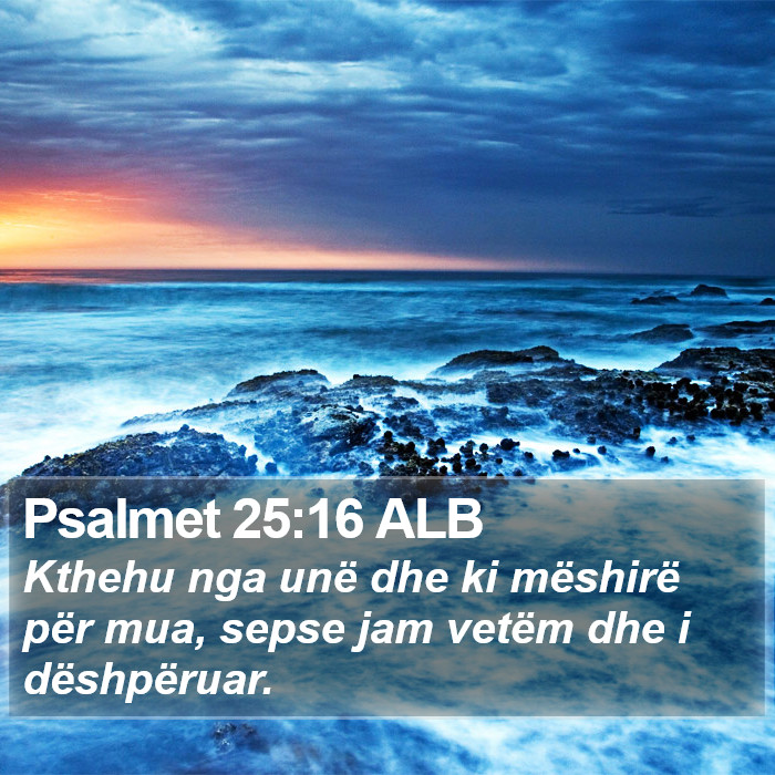 Psalmet 25:16 ALB Bible Study