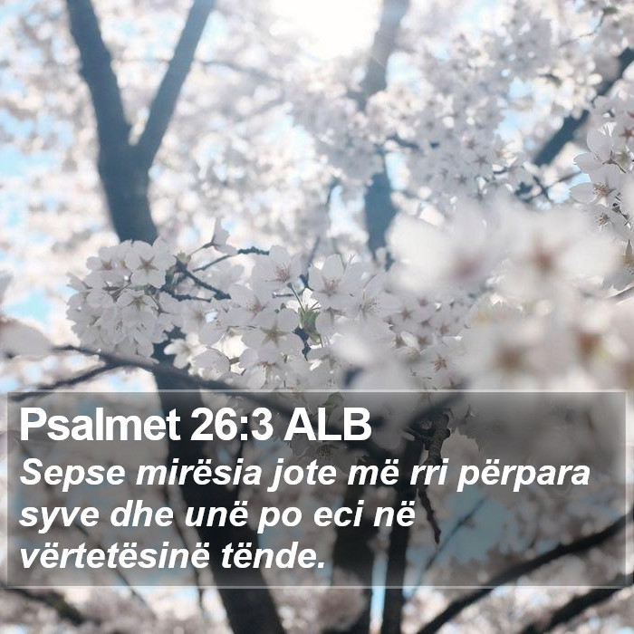 Psalmet 26:3 ALB Bible Study