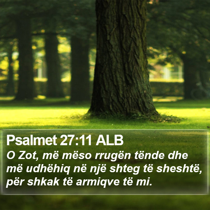 Psalmet 27:11 ALB Bible Study