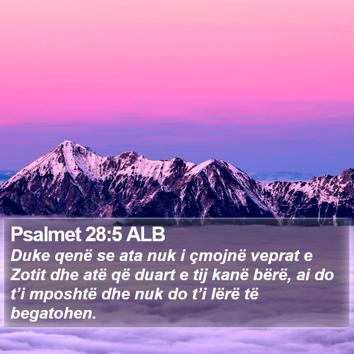 Psalmet 28:5 ALB Bible Study