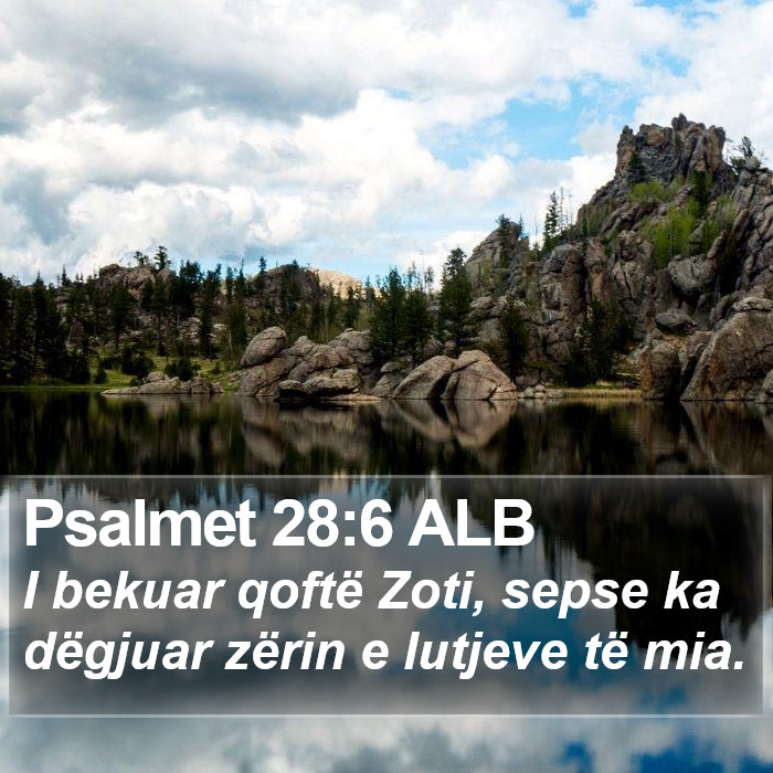 Psalmet 28:6 ALB Bible Study