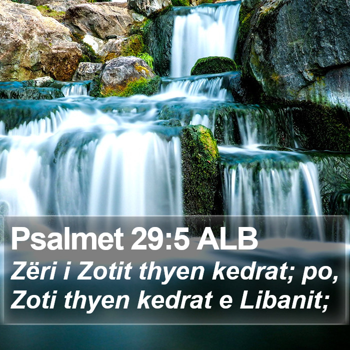 Psalmet 29:5 ALB Bible Study