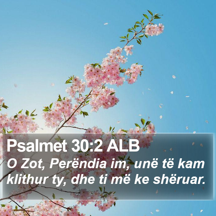 Psalmet 30:2 ALB Bible Study
