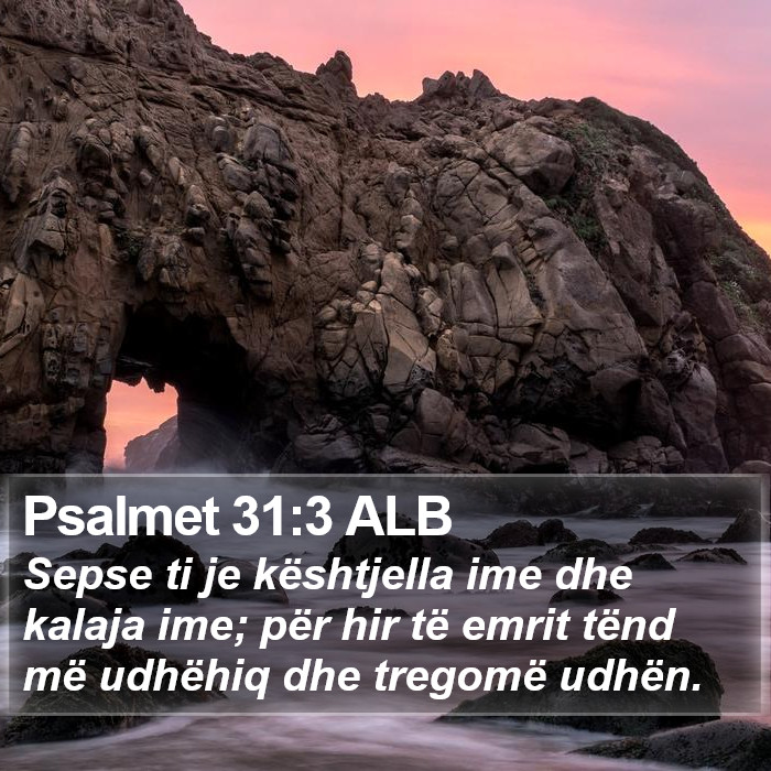 Psalmet 31:3 ALB Bible Study