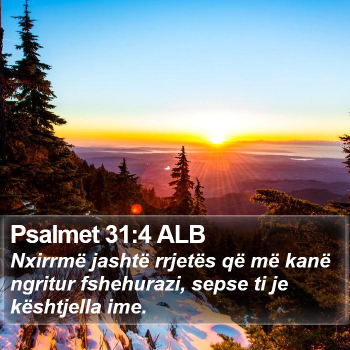 Psalmet 31:4 ALB Bible Study